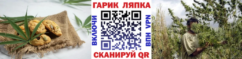 даркнет сайт  гидра tor  Печенье с ТГК конопля  Нурлат 