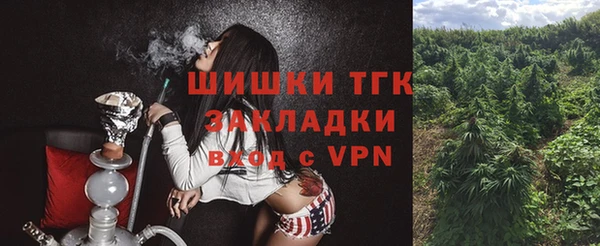 прущая мука Няндома